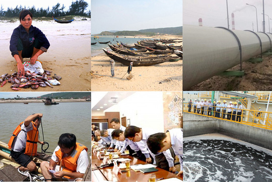 [-]Cá[-]ở[-]vùng[-]biển[-]4[-]tỉnh[-]miền[-]Trung[-]đã[-]ăn[-]được[-]chưa?